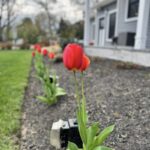 Spring has Sprung at South Jersey Techies